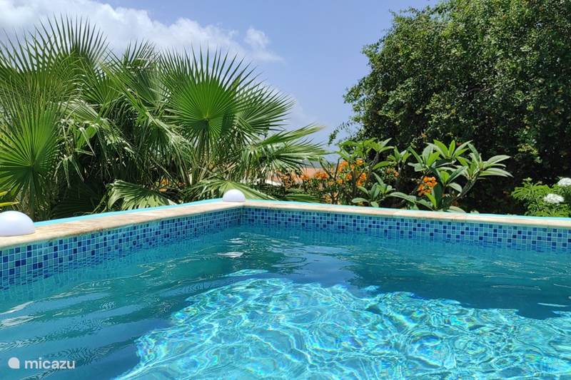 Vakantiehuis Curaçao, Banda Abou (west), Fontein Villa Cas Bon Bini - met zwembad