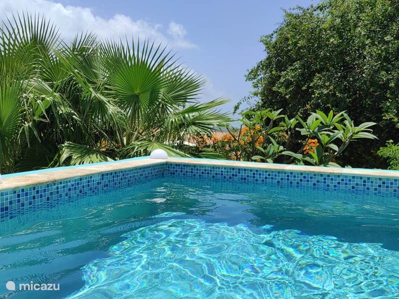 Vakantiehuis Curaçao, Banda Abou (west), Fontein Villa Cas Bon Bini - met zwembad