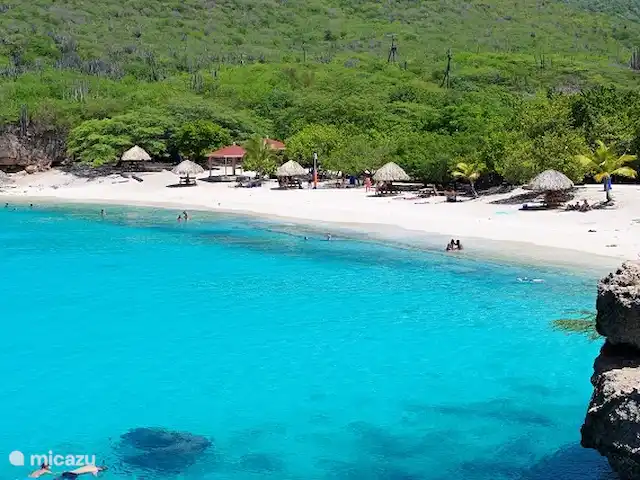 Cas Bon Bini - avec piscine | Curaçao, Banda Abou (ouest), Fontein - villa Sur la plage aux eaux turquoise et au sable blanc.