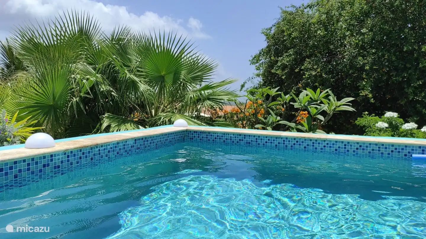 Ihr eigenes Schwimmbad, das Sie mit niemandem teilen müssen.