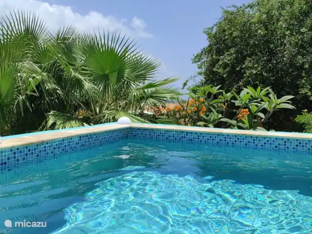 Cas Bon Bini - avec piscine | Curaçao, Banda Abou (ouest), Fontein - villa Votre propre piscine que vous ne devez partager avec personne.