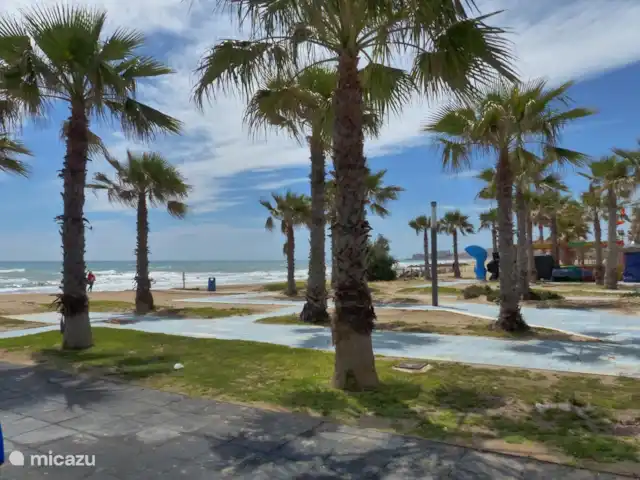 Casa Luna huren in Spanje, Costa Blanca, Torrevieja - appartement Palmbomen La Mata