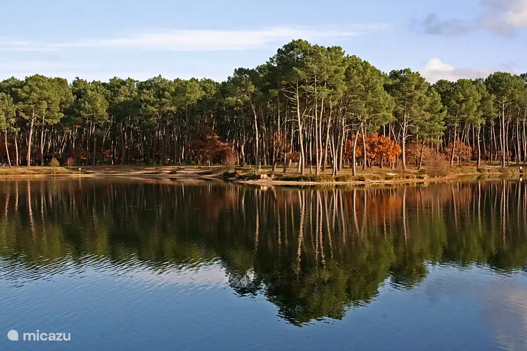 Casteljaloux: golf, spa, casino