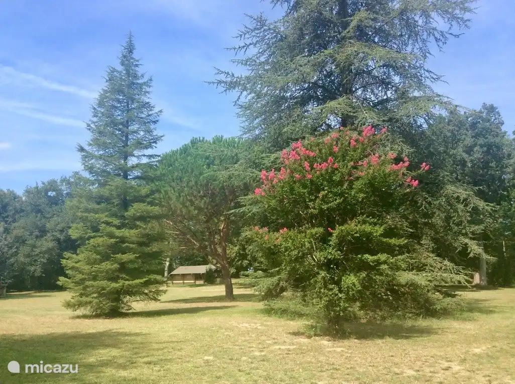 A lo lejos se encuentra la tienda safari de glamping la Mirande