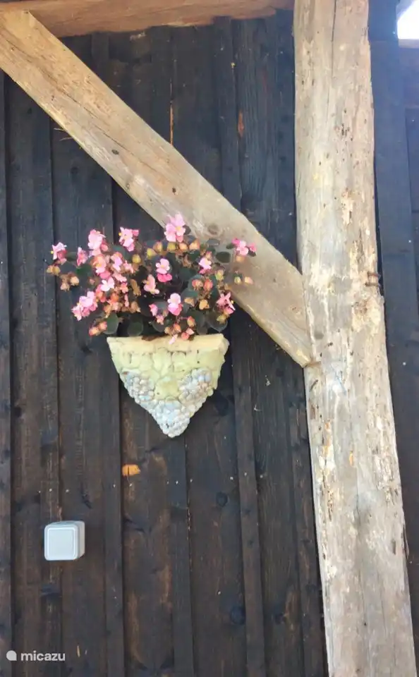 Alrededor de la piscina de la Mirande