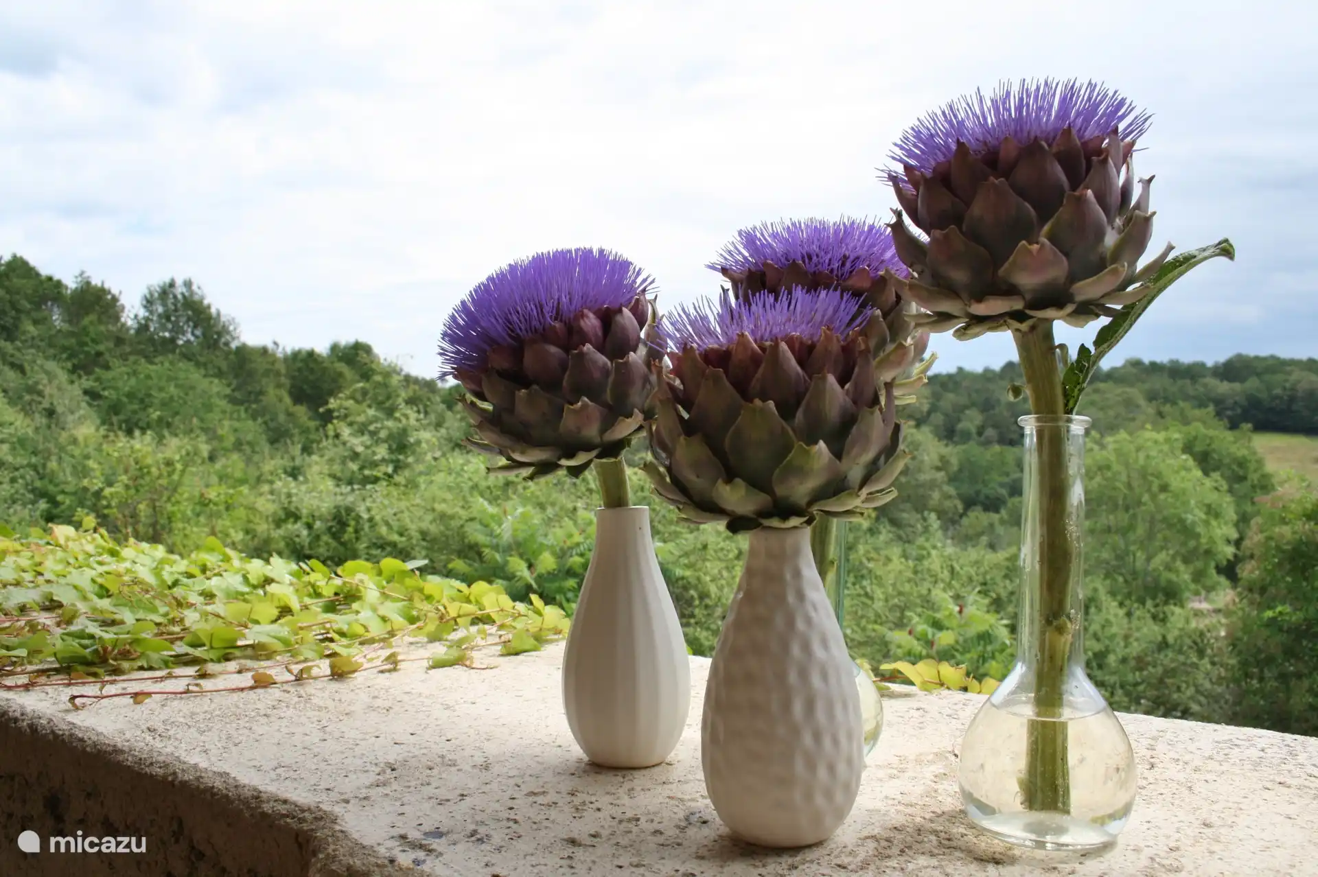 Artichoke