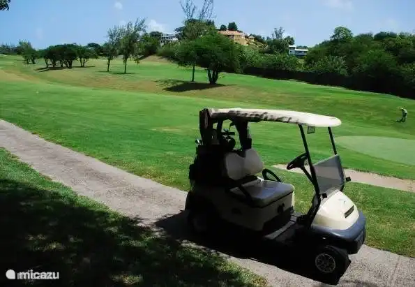 Golfmöglichkeiten in der Nähe.