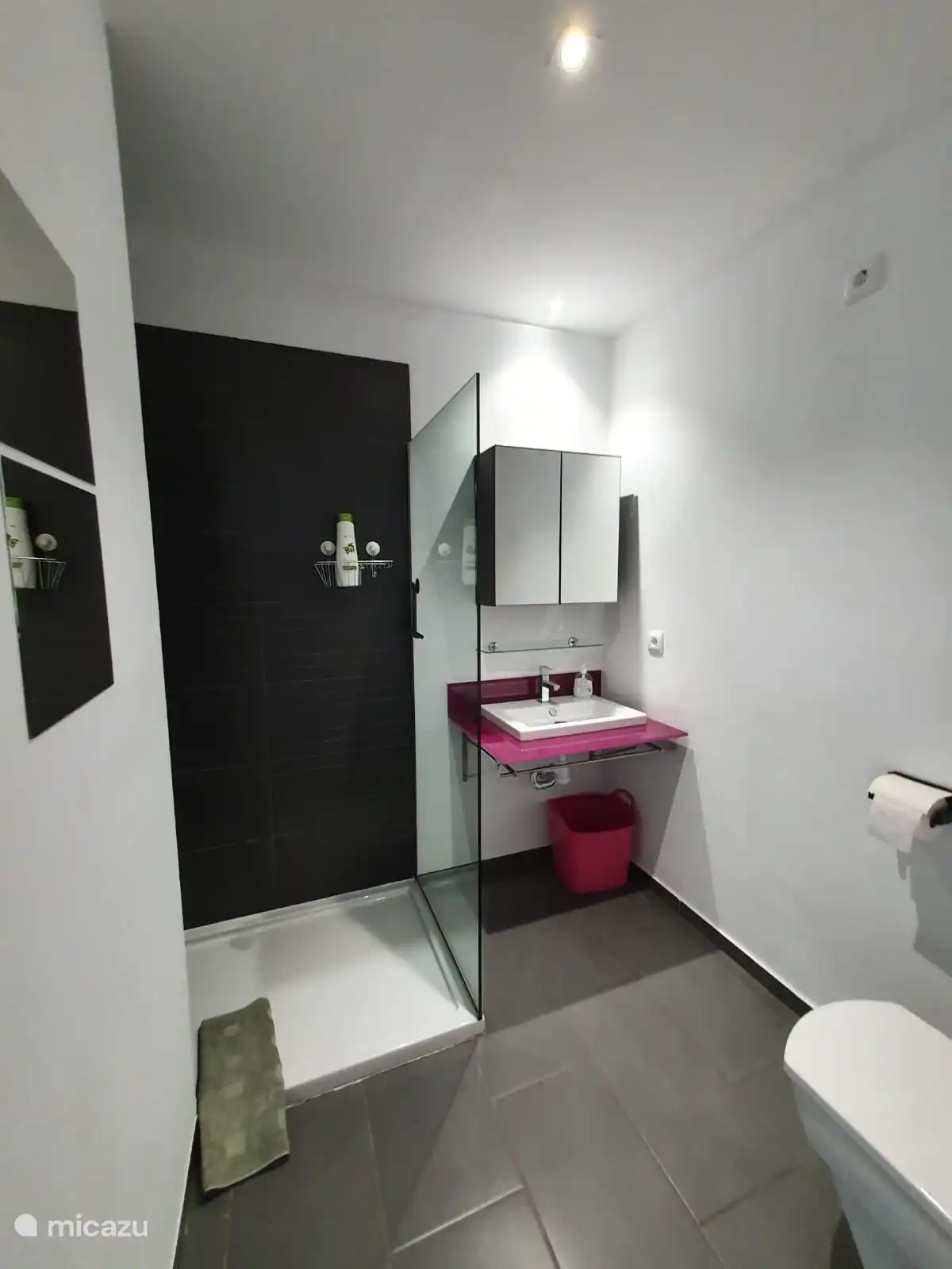 Badezimmer 1 mit ebenerdiger Dusche, Waschbecken und WC