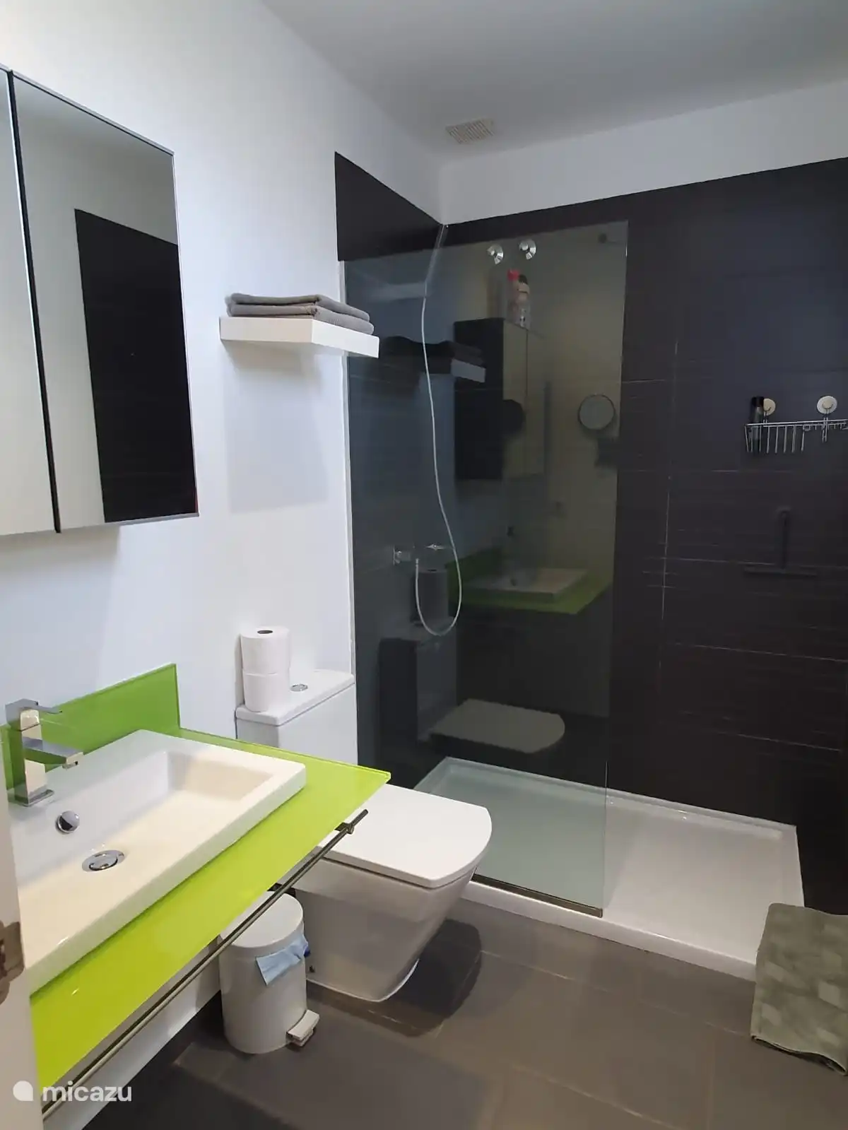 Badezimmer 2 mit ebenerdiger Dusche, Waschbecken und WC