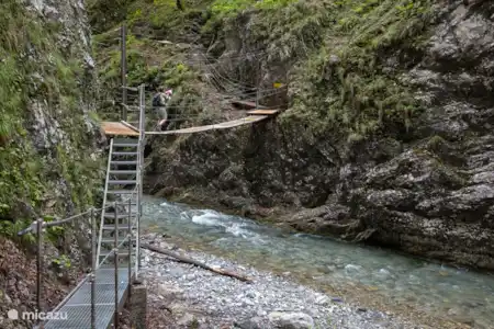 La Carinthie recherche des épicuriens !