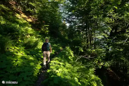 La Carinthie recherche des épicuriens !