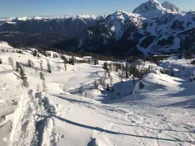 Villa Alpenrose | Autriche, Carinthie, Kötschach-Mauthen - villa skier à Nassfeld