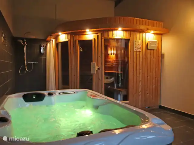 Maison de campagne Waldeifel | Allemagne, Eifel, Malberg - villa Sauna avec jacuzzi