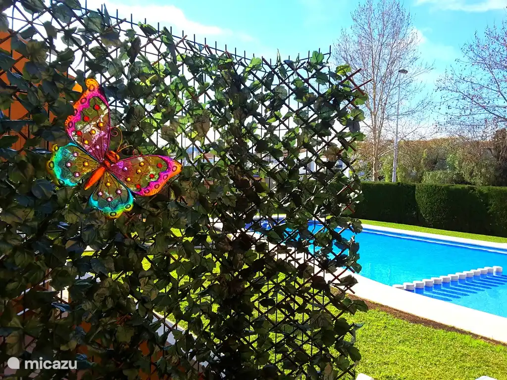 Terrasafscheiding met onze buren om privacy voor u te creëren.