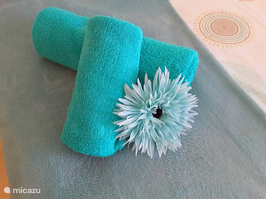 Onze kwaliteits- handoeken staan tot uw beschikking