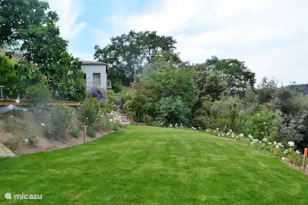 Vakantiehuis Frankrijk, Provence, Draguignan villa Rosalinde -