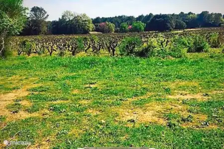 Vakantiehuis Frankrijk, Provence, Draguignan villa Rosalinde -