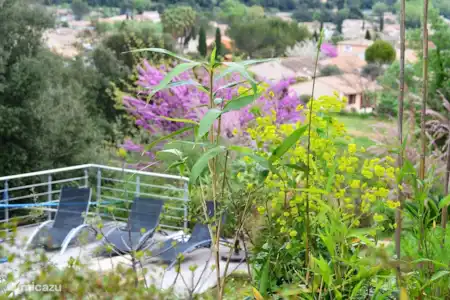 Vakantiehuis Frankrijk, Provence, Draguignan villa Rosalinde -