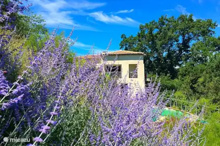 Vakantiehuis Frankrijk, Provence, Draguignan villa Rosalinde -