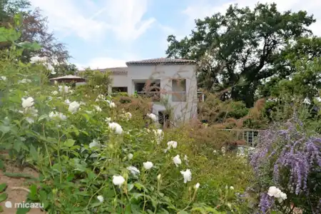 Vakantiehuis Frankrijk, Provence, Draguignan villa Rosalinde -