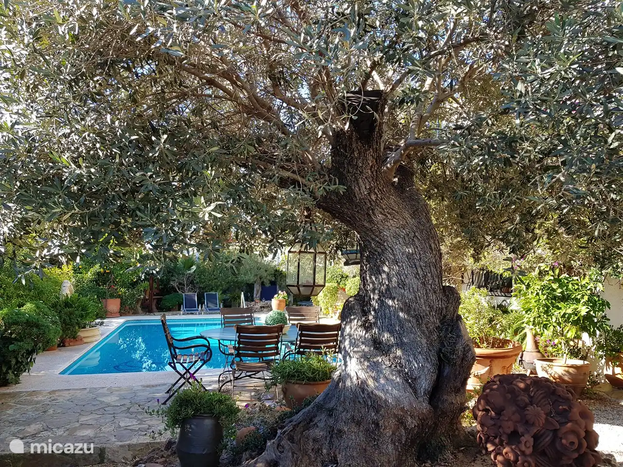 Vue depuis la véranda