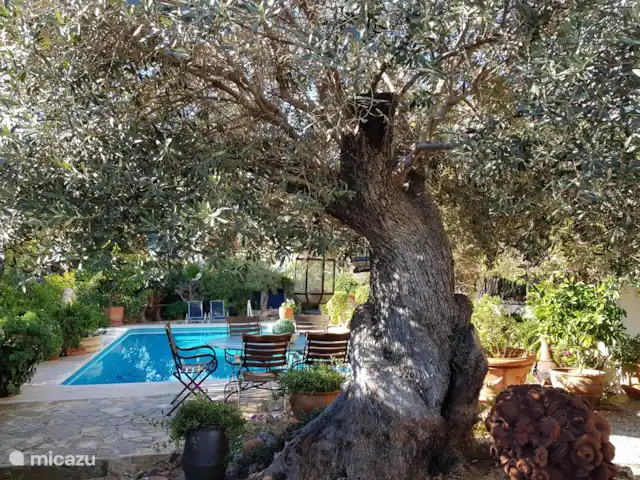 Villa Naranjo | Espagne, Costa Blanca, Alfáz del Pi - villa Vue depuis la véranda