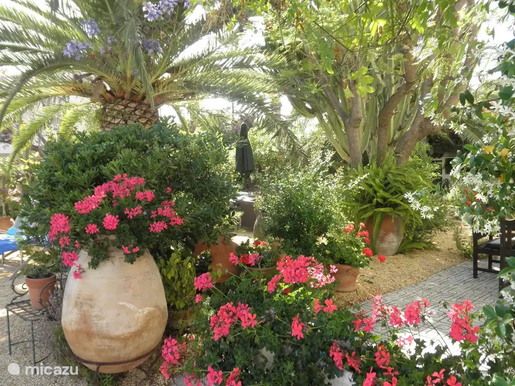 Vue sur le jardin ouest