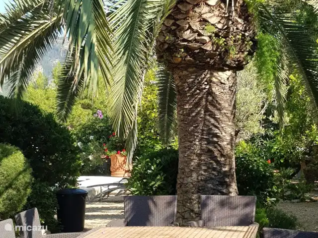 Villa Naranjo | Espagne, Costa Blanca, Alfáz del Pi - villa Jardin