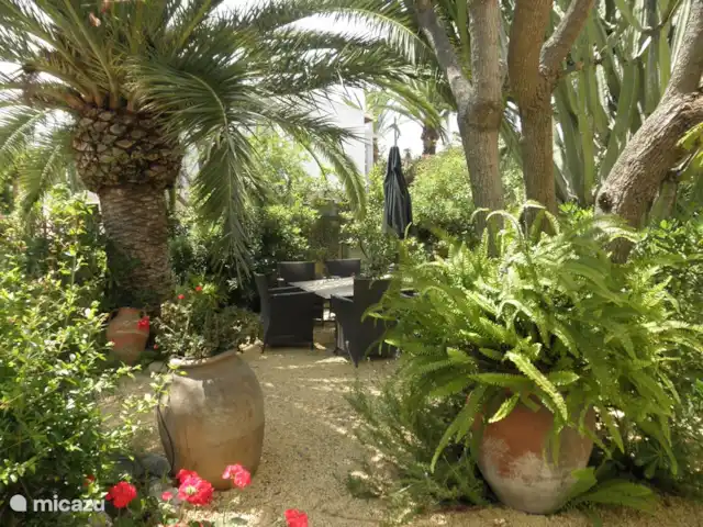 Villa Naranjo | Espagne, Costa Blanca, Alfáz del Pi - villa Jardin occidental