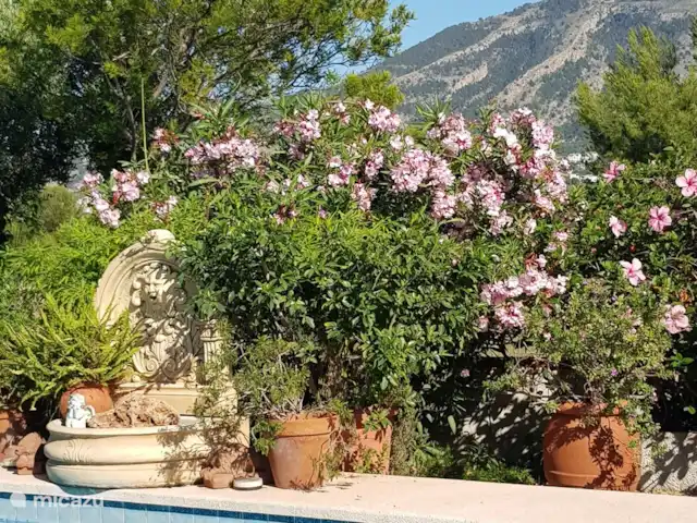 Villa Naranjo | Espagne, Costa Blanca, Alfáz del Pi - villa Jardin