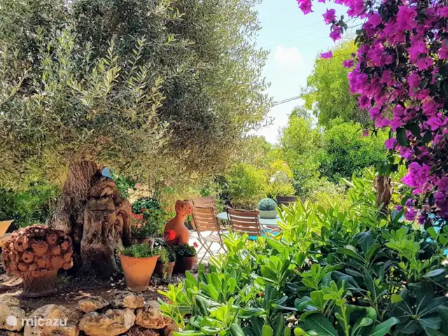 Villa Naranjo | Espagne, Costa Blanca, Alfáz del Pi - villa Jardin