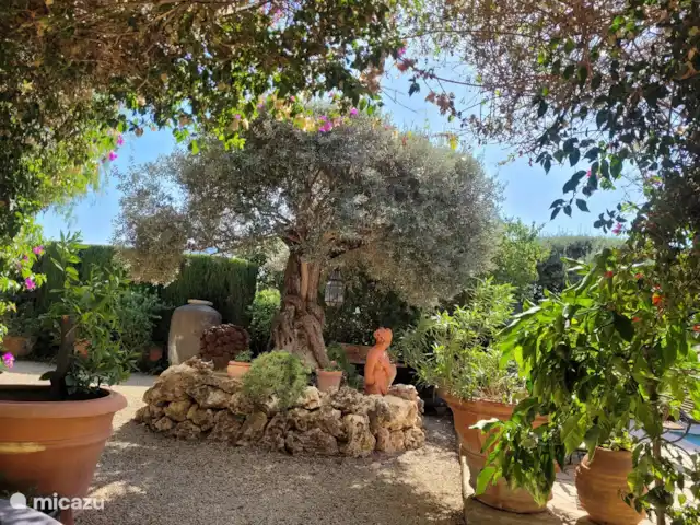 Villa Naranjo | Espagne, Costa Blanca, Alfáz del Pi - villa Jardin