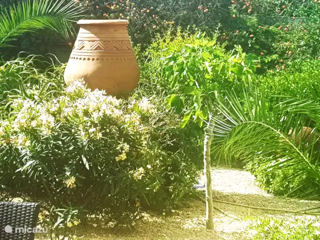 Villa Naranjo | Espagne, Costa Blanca, Alfáz del Pi - villa Jardin