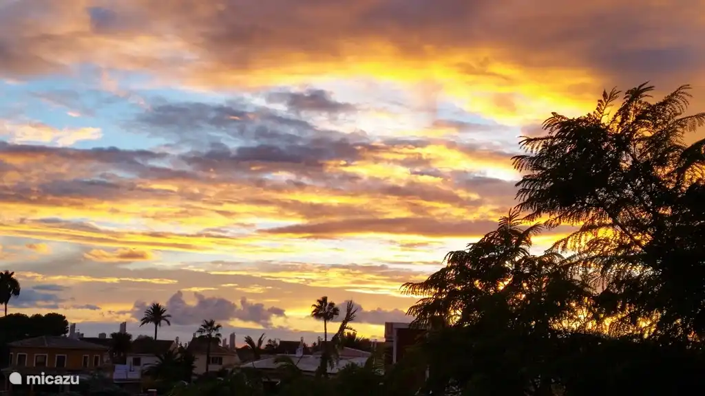 Vue sur le toit-terrasse