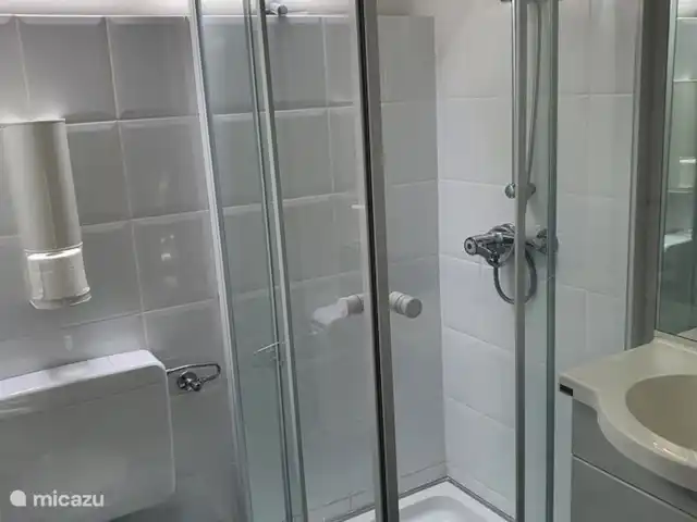 Wanderlust, une vue large! | Allemagne, Sauerland, Frankenau - maison de vacances Salle de douche moderne avec WC et chauffage, lavabo, grand miroir et prise murale