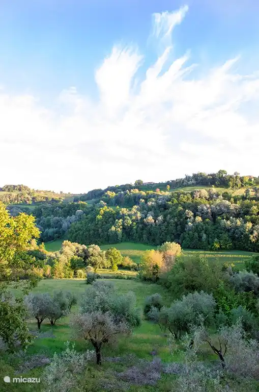 jardín corriendo y vista