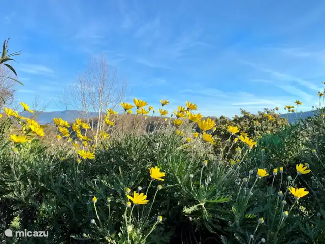 Casa Elide | Italie, Le Latium, Montebuono - villa Marguerites dans le paysage d'hiver