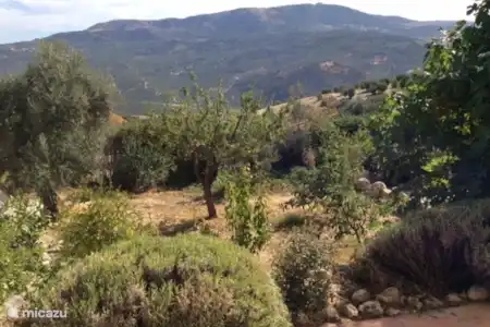 Vakantiehuis Spanje, Andalusië, Montefrio villa Las Pilas de la Dehesa private tuin