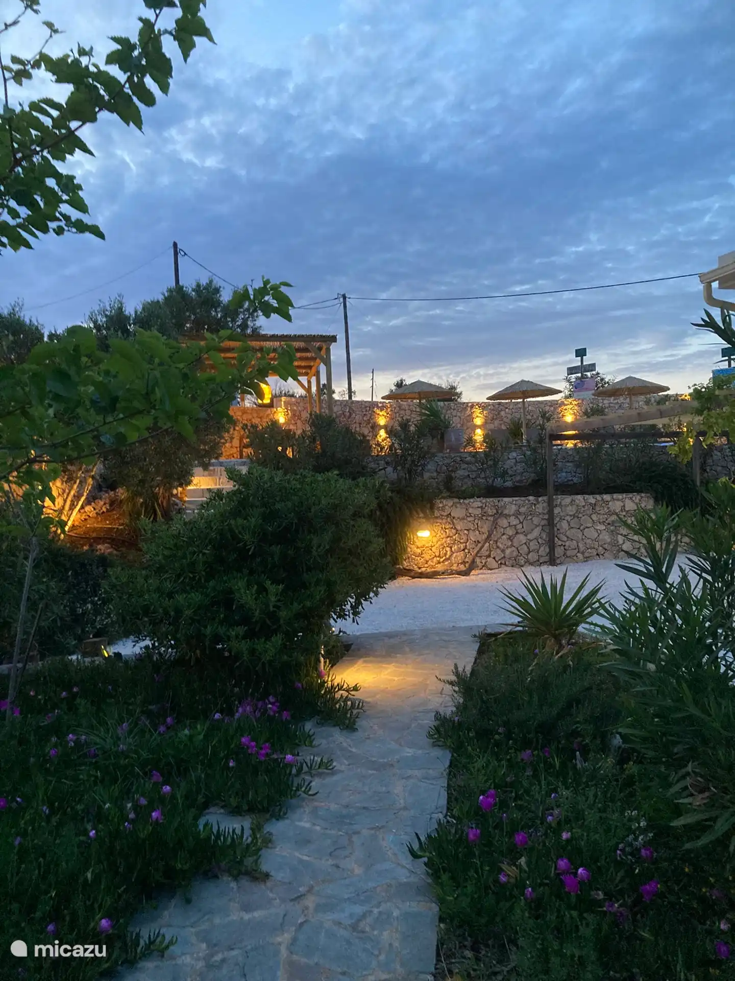 Tuin en aangezicht zwembad bij avond licht