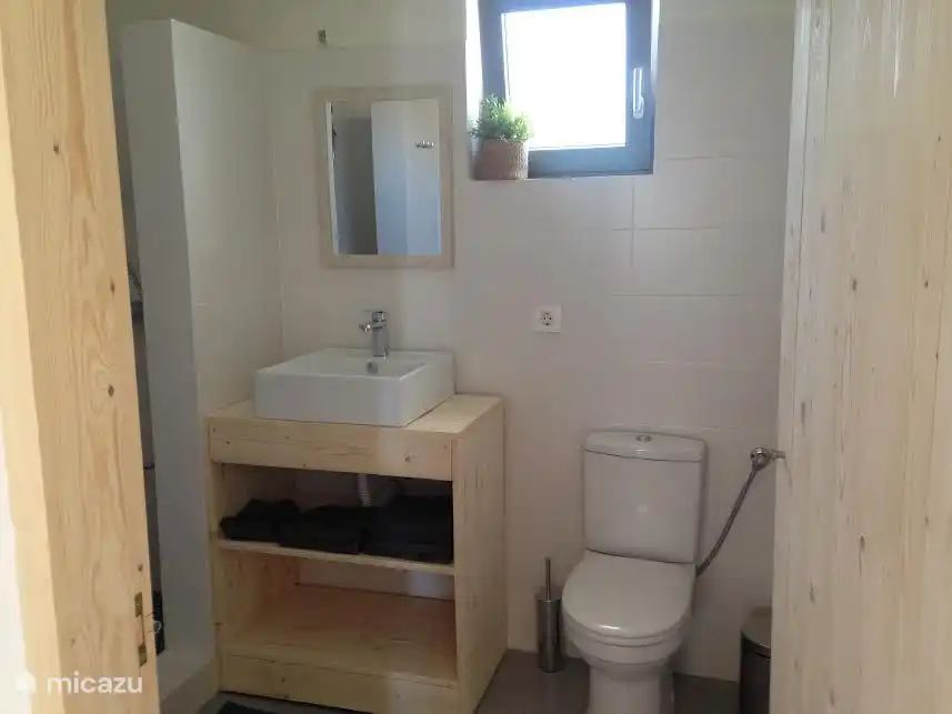 Badkamer op begane grond met dubbele douche, wastafel  en toilet