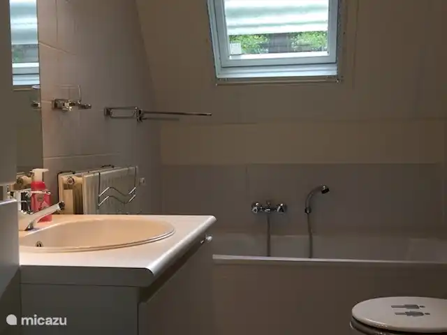 Calluna 151 en Países Bajos, Güeldres, Harfsen - casa vacacional Cuarto de baño con lavabo, bañera, WC.