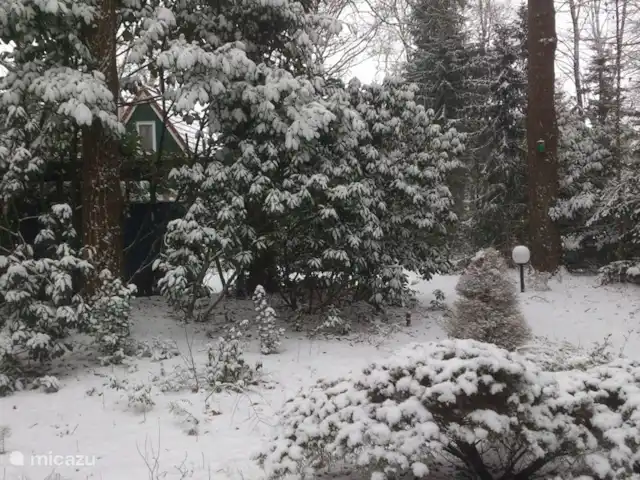Calluna 151 en Países Bajos, Güeldres, Harfsen - casa vacacional Invierno en Calluna.
