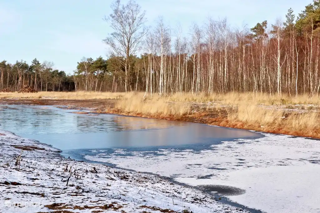 Das Moor im Winter