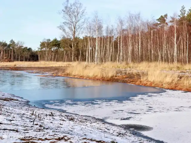 Calluna 151 en Países Bajos, Güeldres, Harfsen - casa vacacional El páramo en invierno
