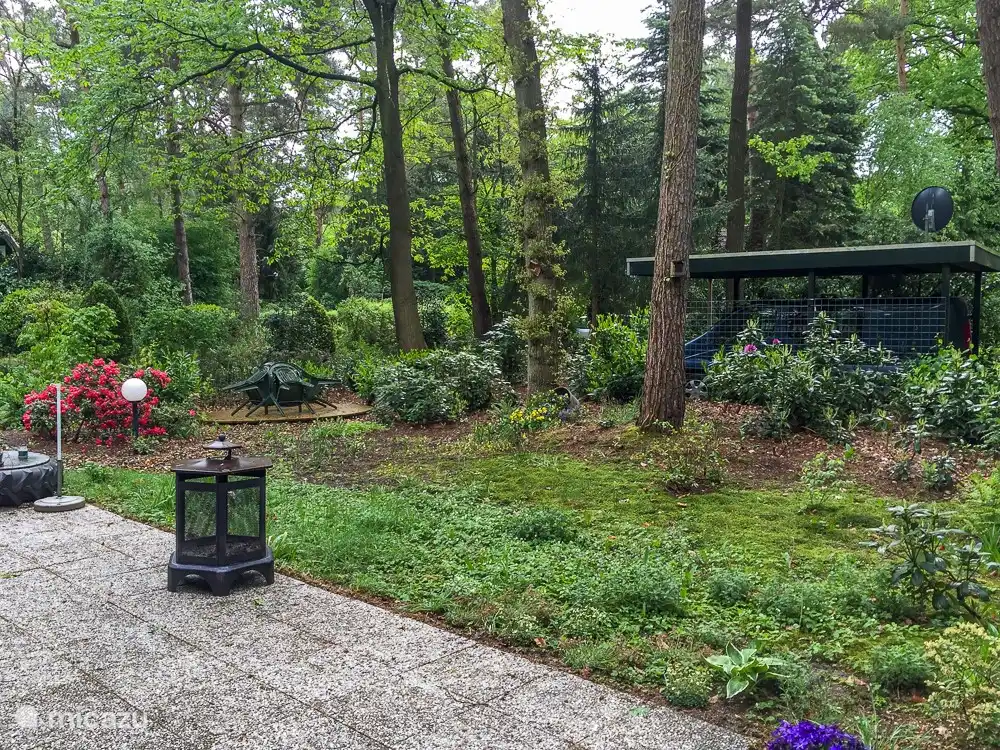 Am Morgen Frühstück mit dem Gesang der Vögel und abends ein Glas Wein an einem lodernden Feuerstelle! 