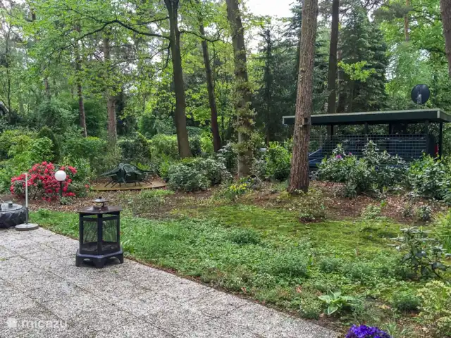 Calluna 151 en Países Bajos, Güeldres, Harfsen - casa vacacional ¡Por la mañana desayuno con el canto de los pájaros y por la noche una buena copa de vino junto a una hoguera!