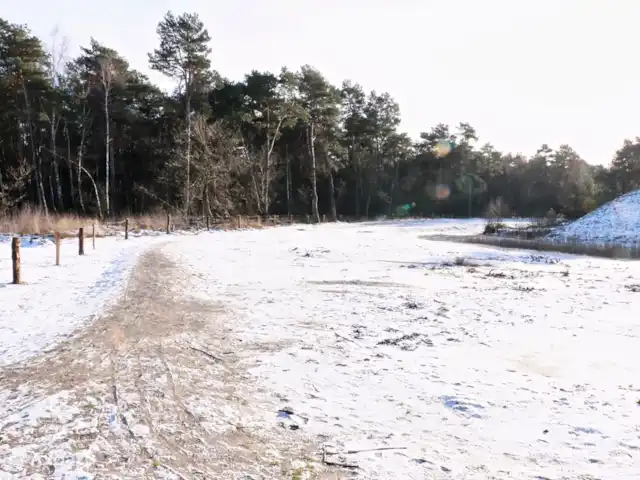 Calluna 151 en Países Bajos, Güeldres, Harfsen - casa vacacional El páramo en invierno