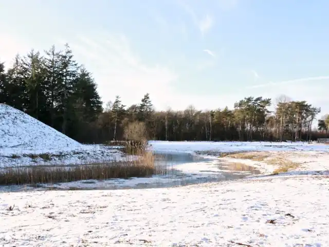 Calluna 151 en Países Bajos, Güeldres, Harfsen - casa vacacional El páramo en invierno