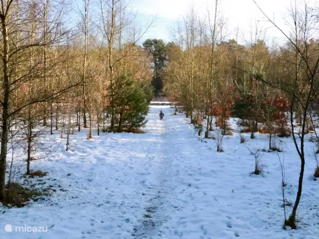 Calluna 151 en Países Bajos, Güeldres, Harfsen - casa vacacional Calluna en invierno