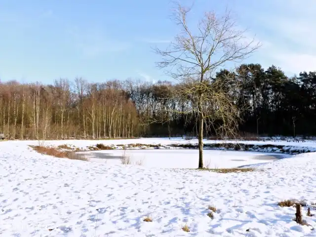 Calluna 151 en Países Bajos, Güeldres, Harfsen - casa vacacional Calluna en invierno